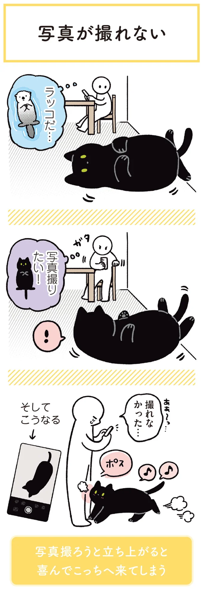 『黒猫ろんと暮らしたら3』より