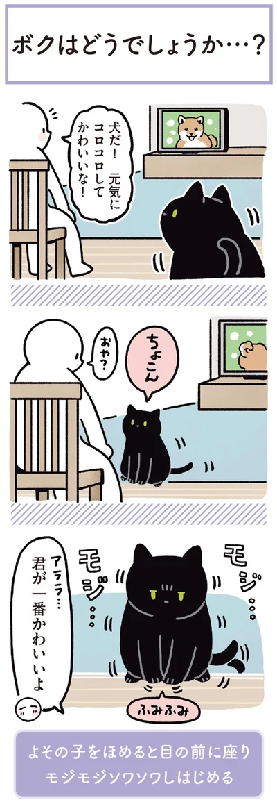 『黒猫ろんと暮らしたら3』より