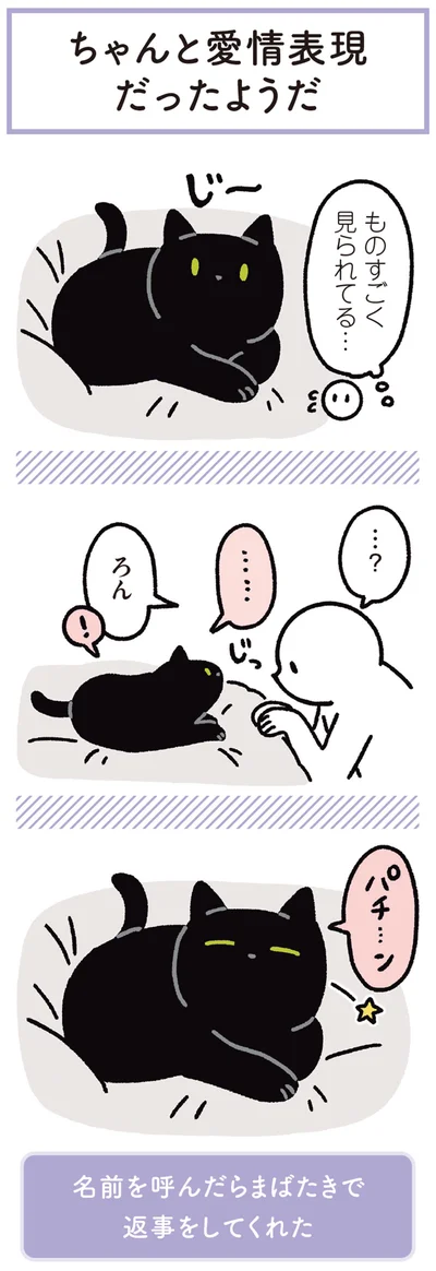 『黒猫ろんと暮らしたら3』より