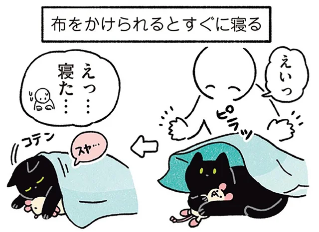 布をかけられるとすぐにスヤスヤ。猫らしからぬ就寝スタイルの黒猫ろん