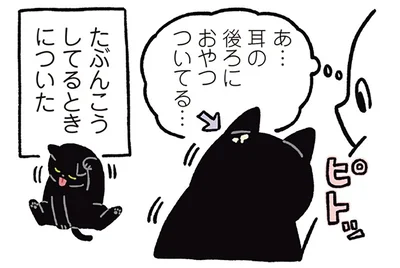 あ…耳の後ろにおやつついてる…