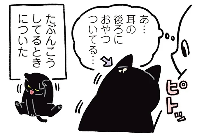 なでられてご満悦！ポジティブマインド炸裂の黒猫ろん