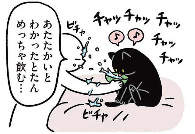 飲んでくれるだけでOK！黒猫ろんの水飲みタイムを全力サポート