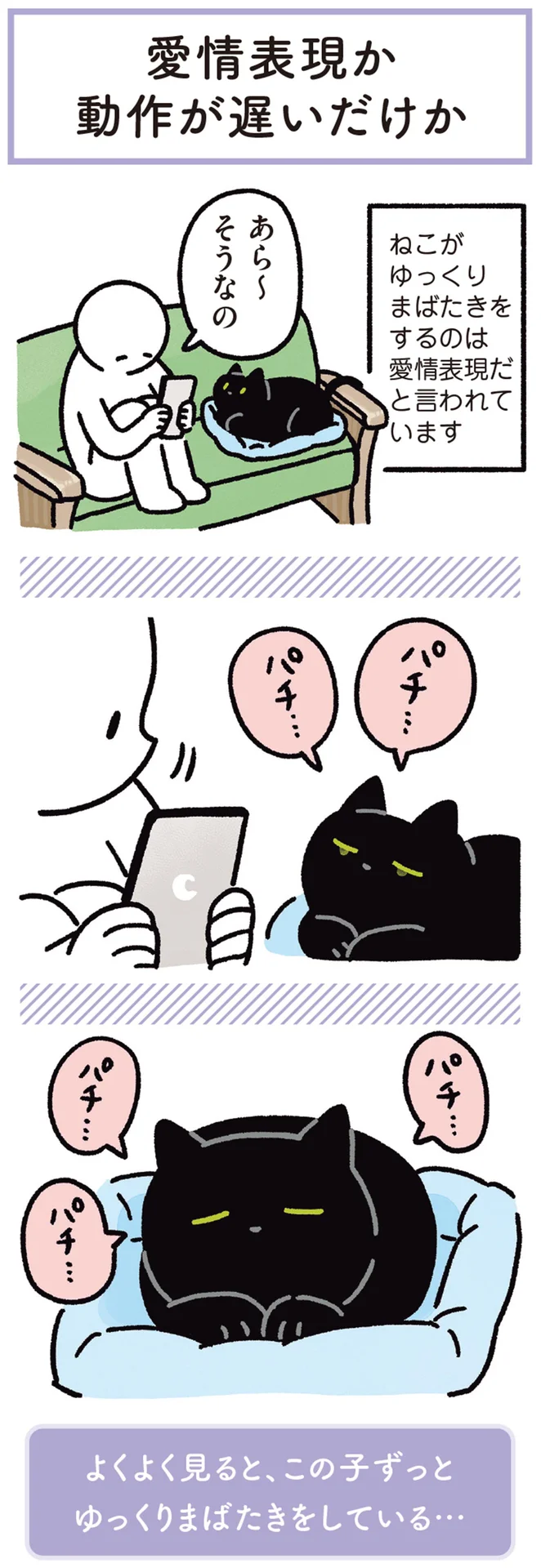 名前を呼んだら、ゆっくりまばたき。黒猫ろんの優しい返事 - レタスクラブ