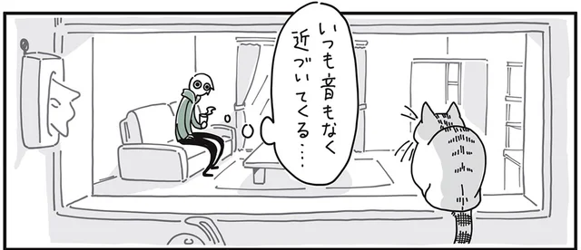 その気配のなさ、まるで忍者！ いつの間にか近づいてきている猫