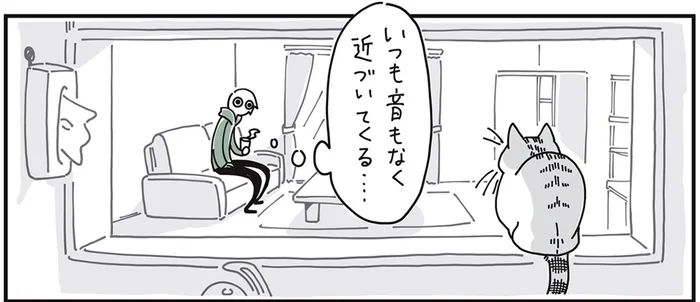 その気配のなさ、まるで忍者！ いつの間にか近づいてきている猫