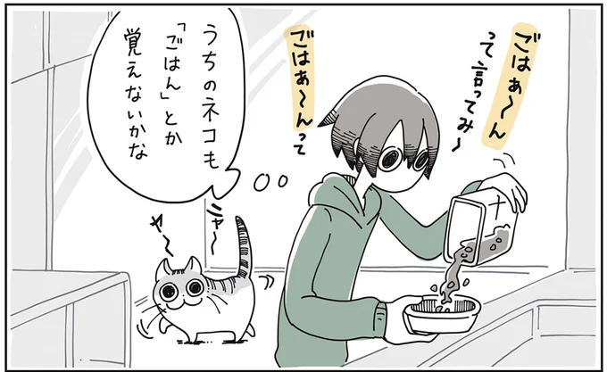 「ごはん」とか覚えないかな