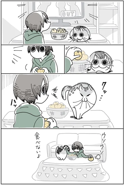 食べないよ