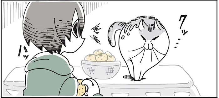 テレビを見ながらこたつでみかん。気づけば猫が警戒していて