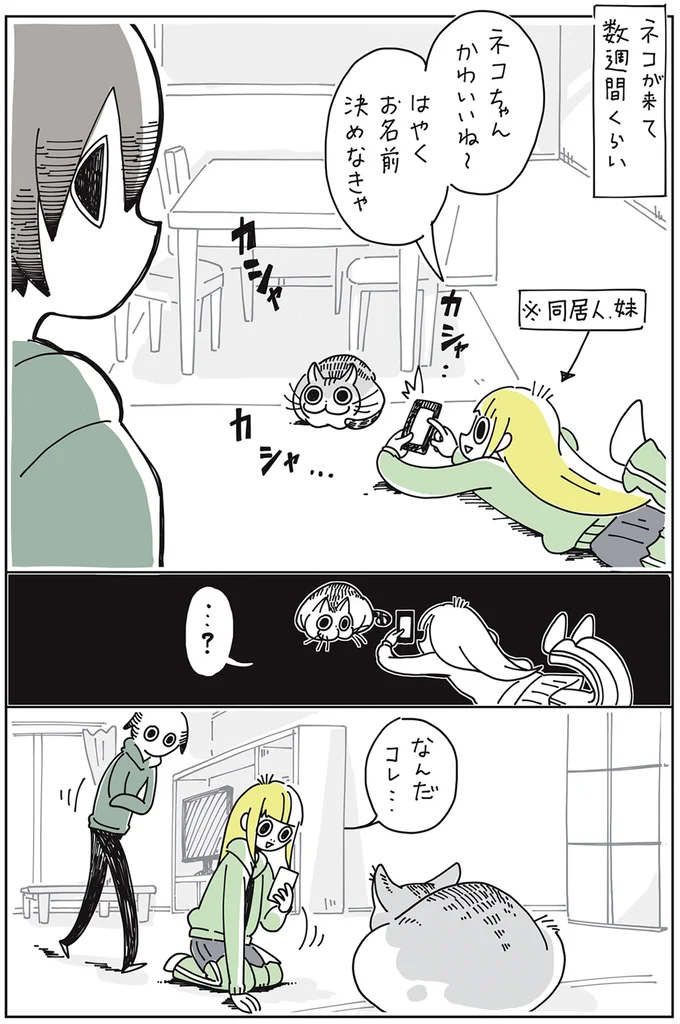 なんだコレ…