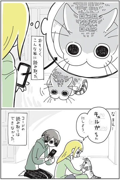 キュルガちゃんにしよう