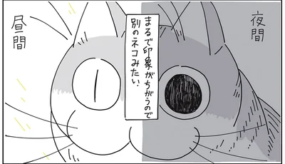 まるで印象が違う