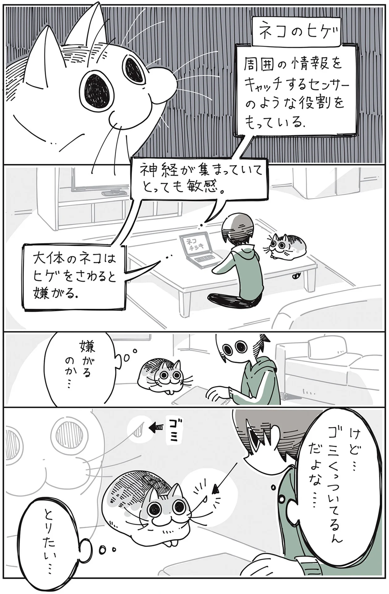 ゴミを取ったんだよぉ。良かれと思って猫のヒゲに触ったのに怒られて