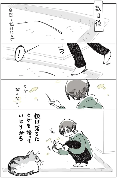 抜け落ちたヒゲ