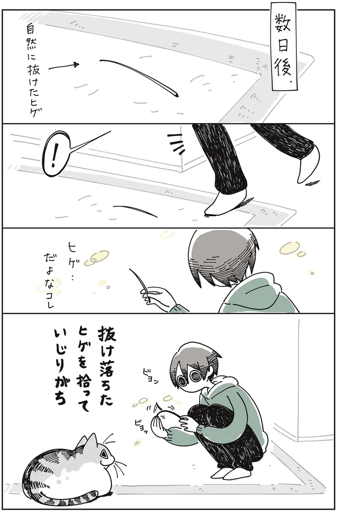 抜け落ちたヒゲ