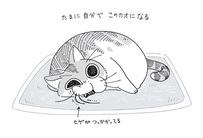 ヒゲがつっかかってる