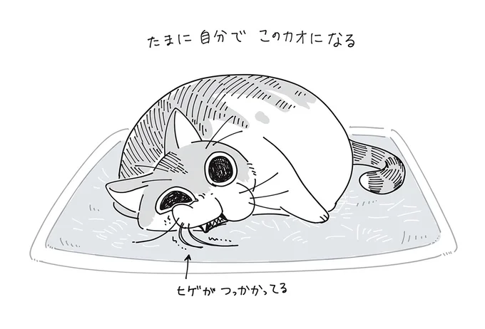 ヒゲがつっかかってる