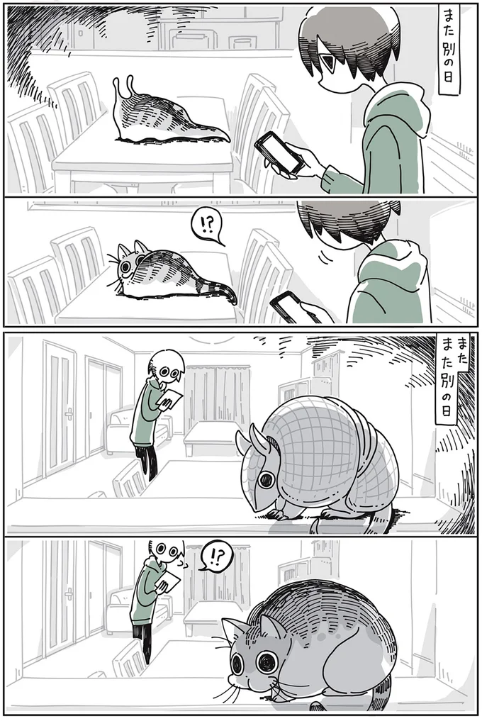 ナメ…アルマジロ…？