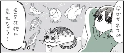 猫が色々な物に見えちゃう