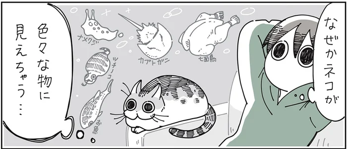 すさまじい猫の擬態能力。とにかく色んな別のものに見えてしょうがない！