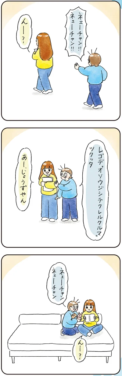 『わが家のネタ帳 コントすぎる姉弟の日常』より
