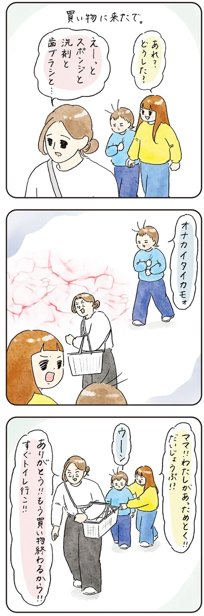 『わが家のネタ帳 コントすぎる姉弟の日常』より