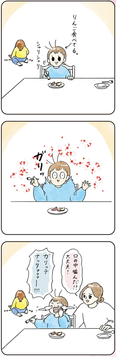 『わが家のネタ帳 コントすぎる姉弟の日常』より