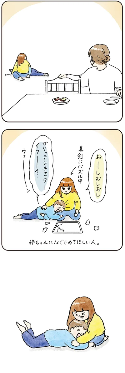 『わが家のネタ帳 コントすぎる姉弟の日常』より