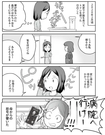 『痔だと思ったら大腸がんステージ4でした　標準治療を旅と漫画で乗り越えてなんとか経過観察になるまで』より