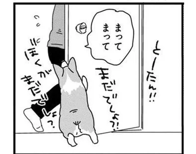 帰宅後、トイレへ直行する飼い主。かまってほしい愛犬の静かなアピール