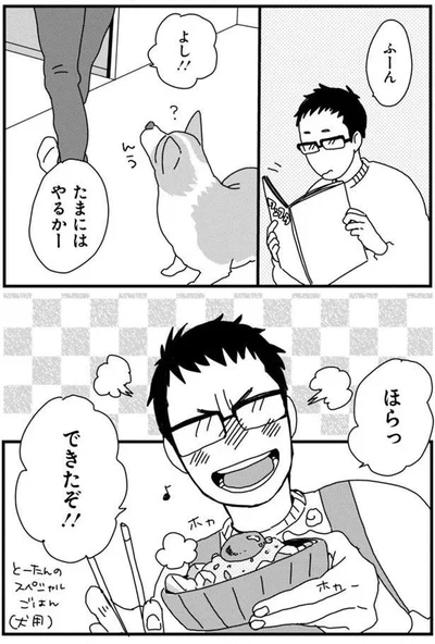 チャレンジとーたん