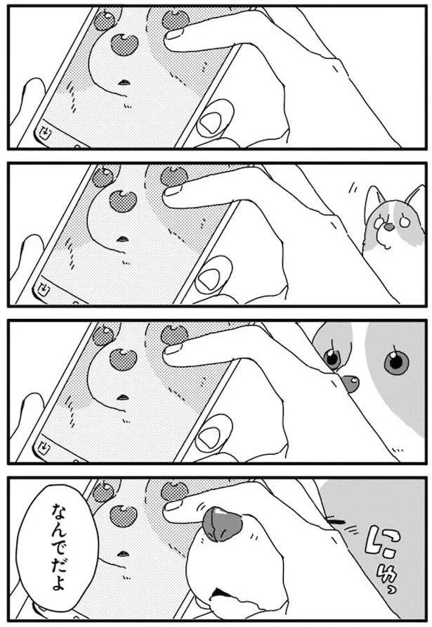 とーたんのスキマ