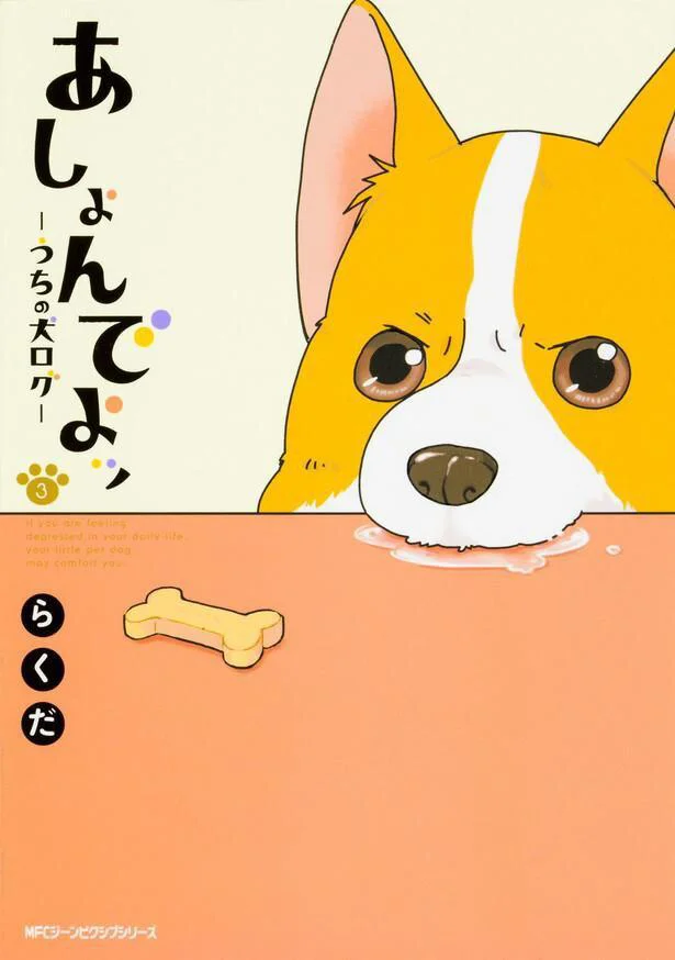 『あしょんでよッ 〜うちの犬ログ〜3』