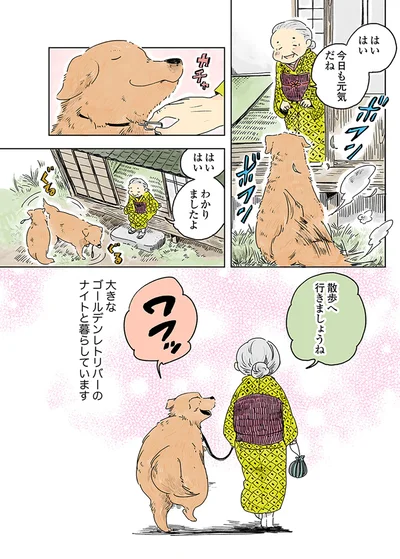 『姫ばあちゃんとナイト 』より