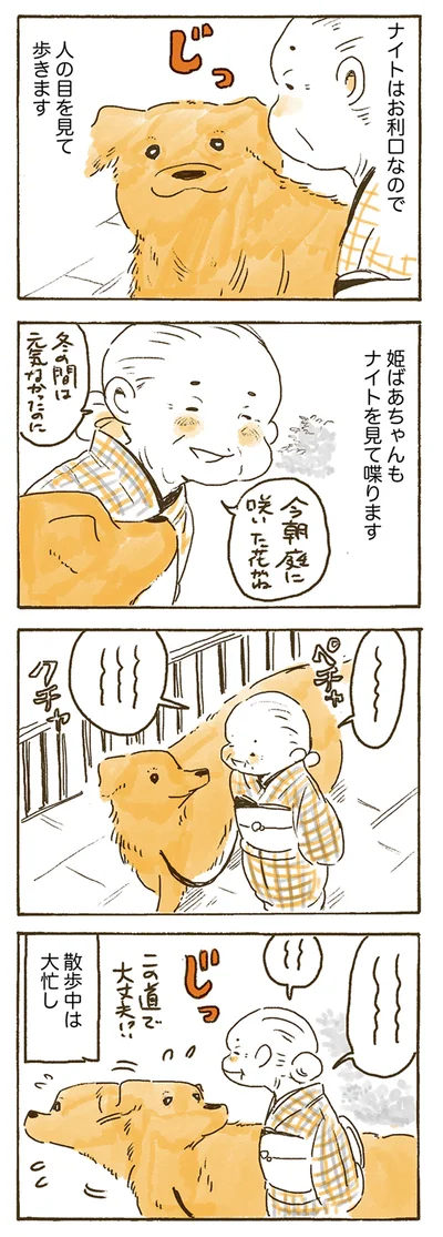 『姫ばあちゃんとナイト 』より