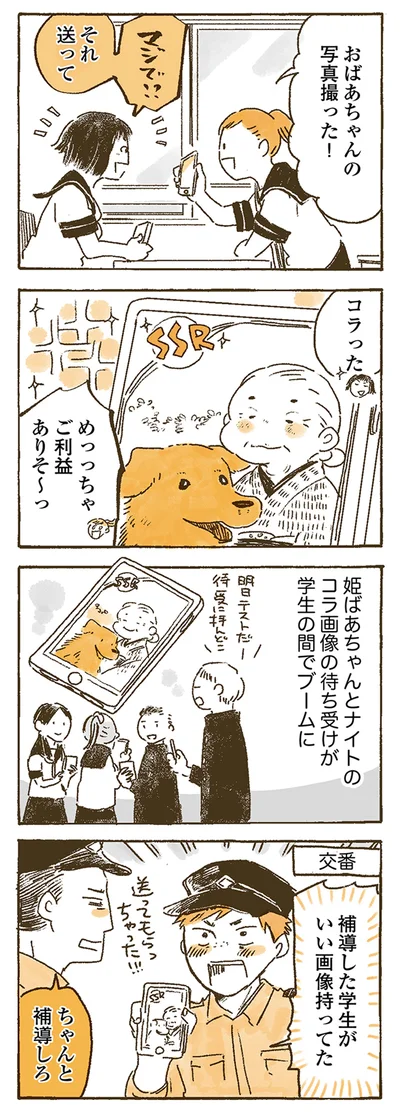 『姫ばあちゃんとナイト 』より