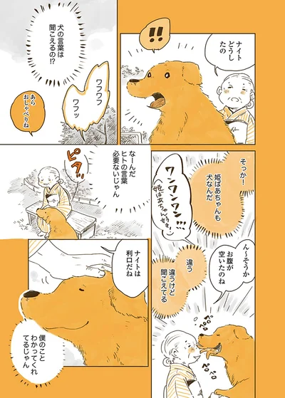 『姫ばあちゃんとナイト 』より