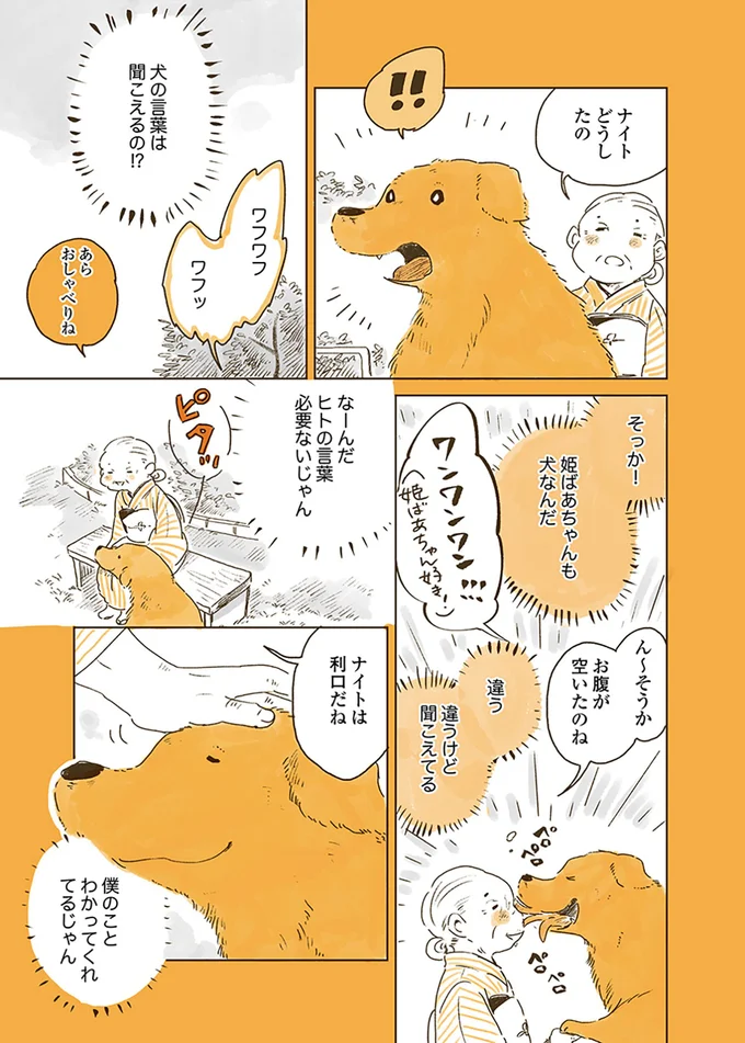 『姫ばあちゃんとナイト 』より