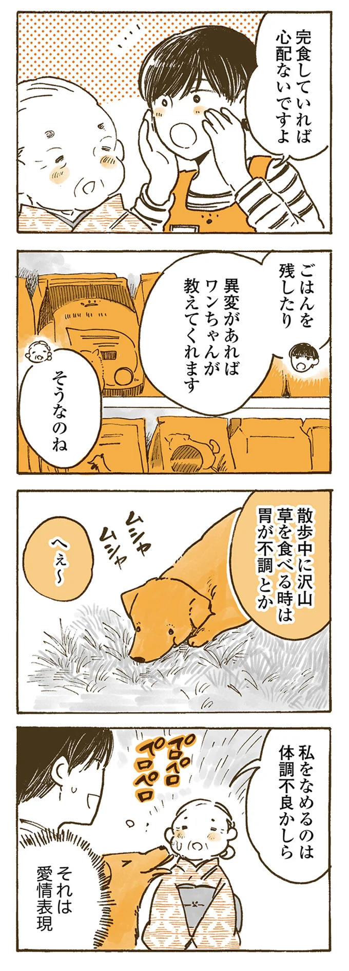 『姫ばあちゃんとナイト 』より