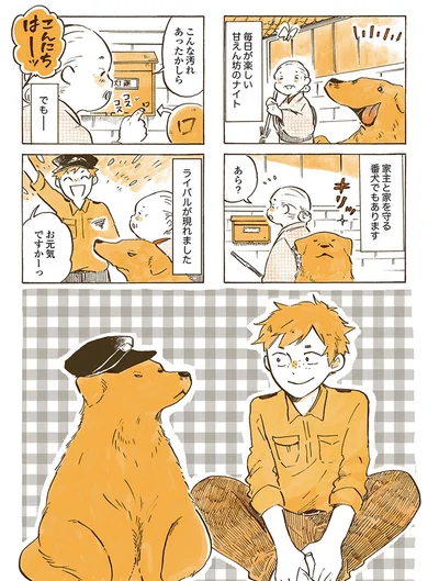 『姫ばあちゃんとナイト 』より