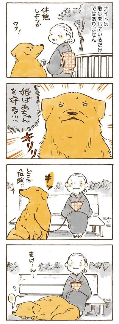 『姫ばあちゃんとナイト 』より