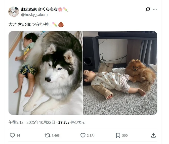 話題を集めた「大きさの違う守り神」のポスト▶まずは大きな守り神(⇒次へ)