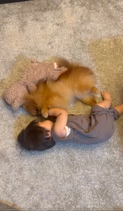 ペットがいてよかったと思う瞬間▶優しく見守ります（⇒次へ）