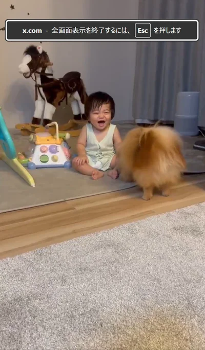 きなこちゃんとお子さまは大の仲良し！▶ハスキーのもちちゃんも一緒に遊んでくれます（⇒次へ）