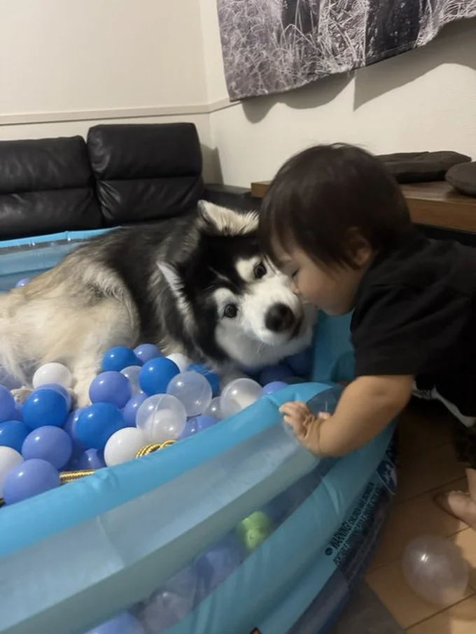 一緒に遊ぶもちちゃんとお子さま▶とっても頼りになるお兄ちゃん！（⇒次へ）