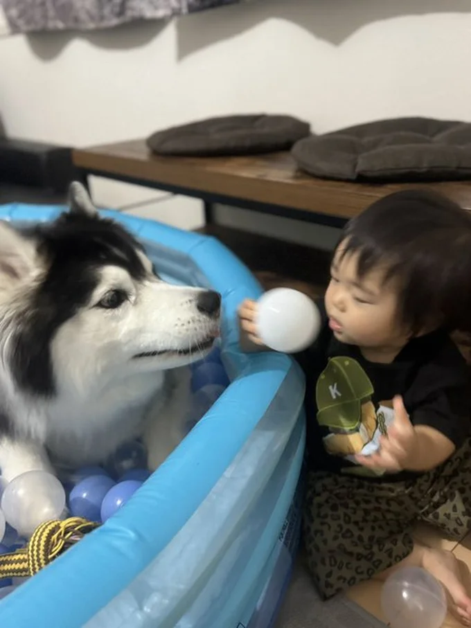 お母さまが思っていたよりも、もちちゃんの面倒見がいいのだそう▶素敵なワンコとの生活がたくさん！（⇒次へ）