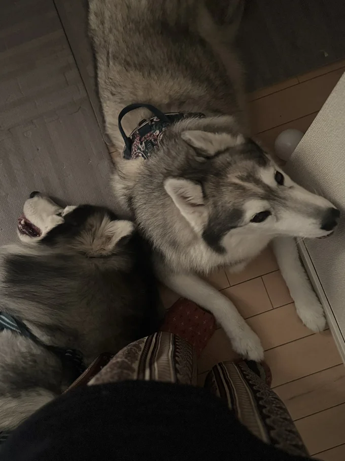 キッチンカウンターにいるときの足元は…▶遊んでいるときもお兄ちゃんらしい表情（⇒次へ）