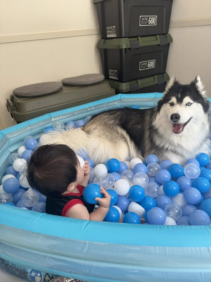 見守るもちちゃん。大黒柱のような存在感です▶赤ちゃんよりも夢中になっちゃう！？（⇒次へ）