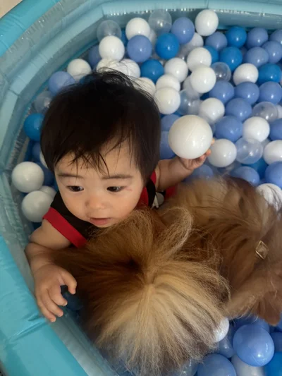 見守る？遊んでる？きなこちゃん▶いつもはオラオラのもちちゃん（⇒次へ）