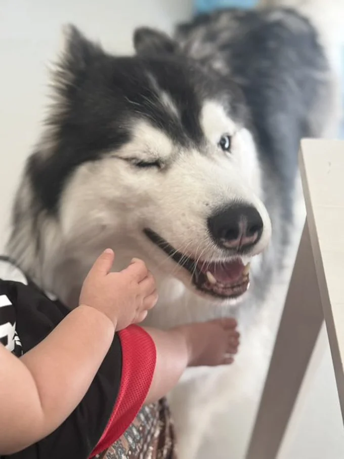 決め顔からの…▶実は甘えんぼう！（⇒次へ）